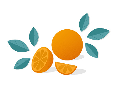 Orange citrus fruit design flat fruit illustration illustrator leaves minimal orange organic vector