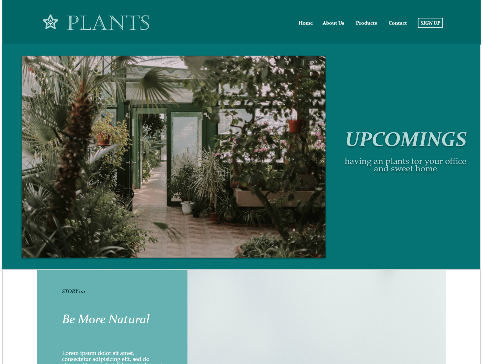 home-page-of-a-plant-shop-plants-by-dana-d-on-dribbble