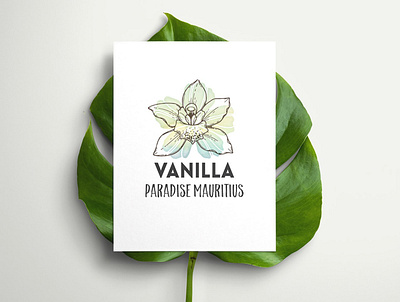 logo Vanilla Paradise Mauritius botanical branding design flower logo mauritius nature logo