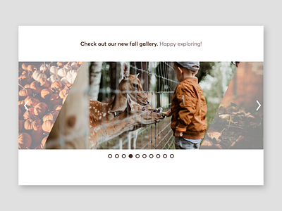 Daily UI #072 – Image Slider dailyui gallery ui ui challange user interface