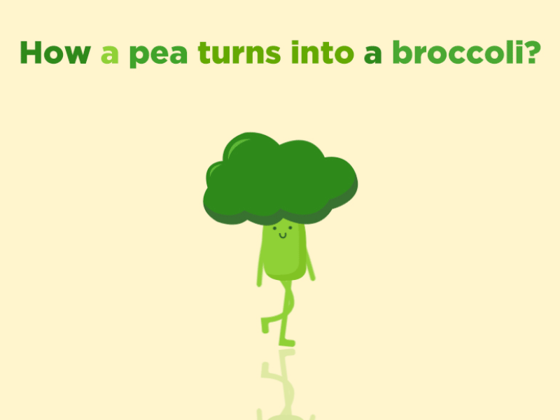 How a pea turns into a broccoli！ ae animation broccoli gif green pea vegetable walking