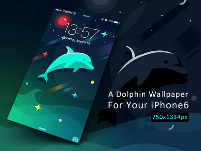 Dolphin Wallpaper