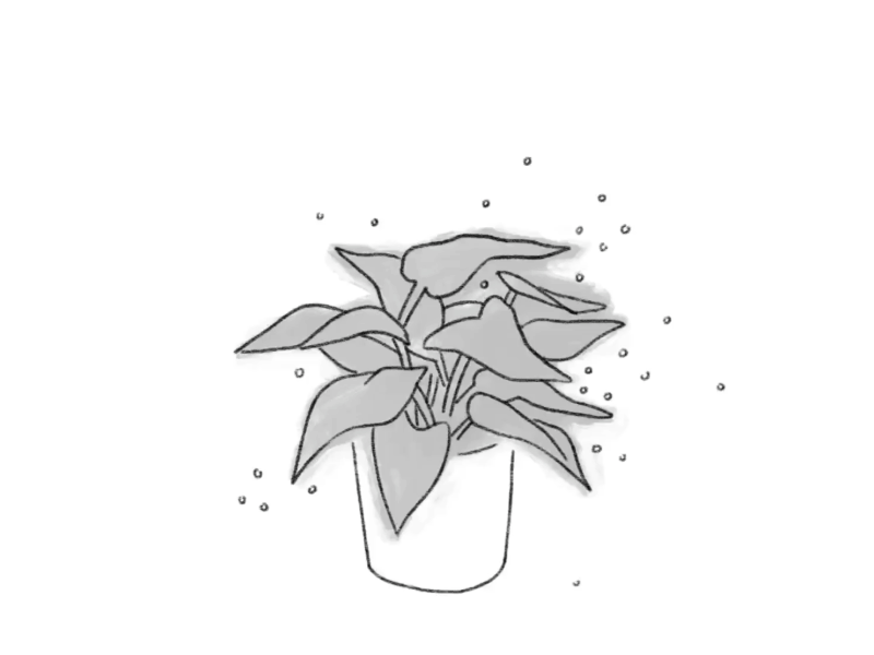 How to scribble completely apple pencil art black and white doodle drawing gif grayscale houseplant illustration ipad art lineart plant process process video procreate product illustration sketch timelapse