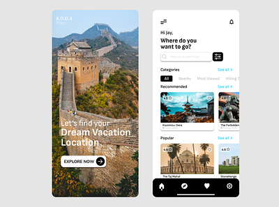 Travel Application Design