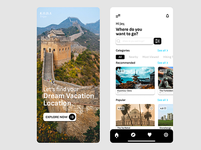 Travel Application Design