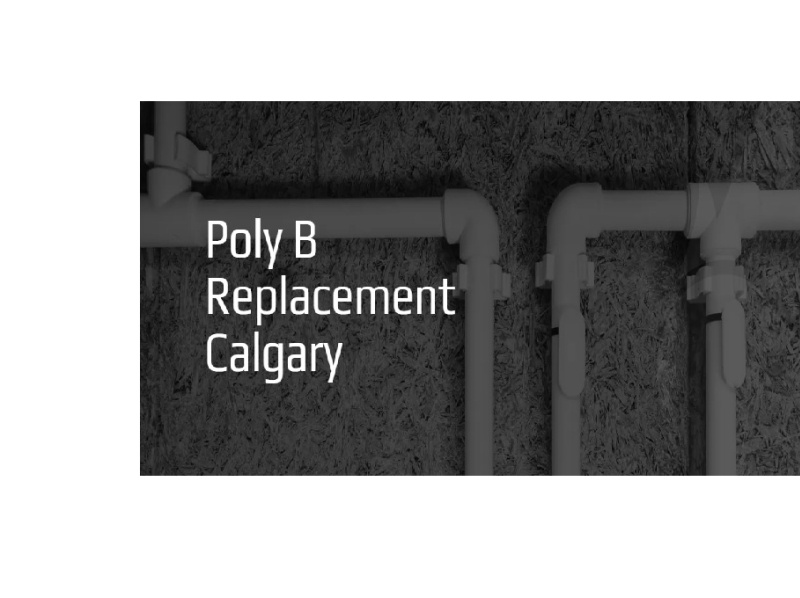 Quality Poly B Replacements For More Sophisticated Systems by Evolution