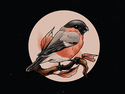 Bullfinch bird bullfinch drawing illustration leaves neotraditional procreate tattoo