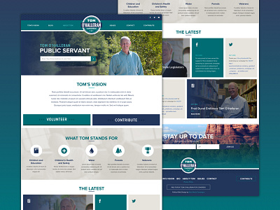 O'Halleran for Congress congress flat homepage political politics web design website