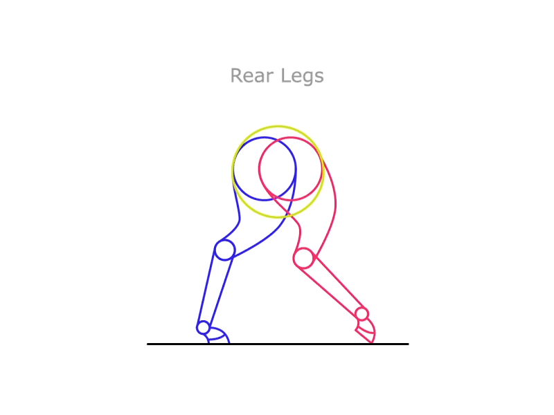 Horse Study - Rear Legs animal animation cycle flat four horse legs study walk wireframes