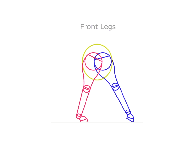 Horse Study - Front Legs animal animation cycle flat four horse legs study walk wireframes