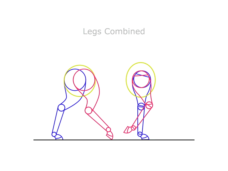 Horse Study - Legs Combined animal animation cycle flat four horse legs study walk wireframe