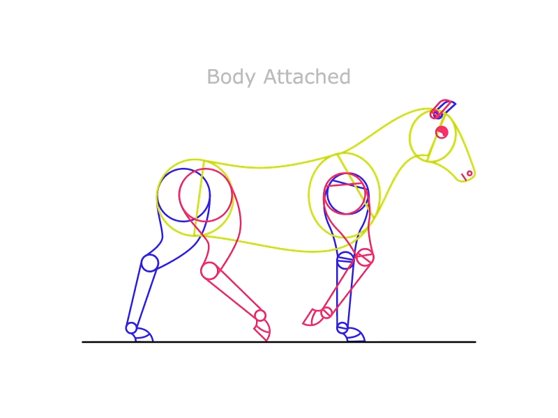 Horse Study - Body Attached animal animation cycle flat four graphics horse legs motion study walk wireframe
