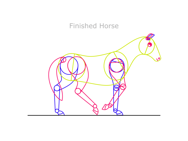 Horse Study - Finished Horse animation cycle flat four graphics horse legged motion study walk