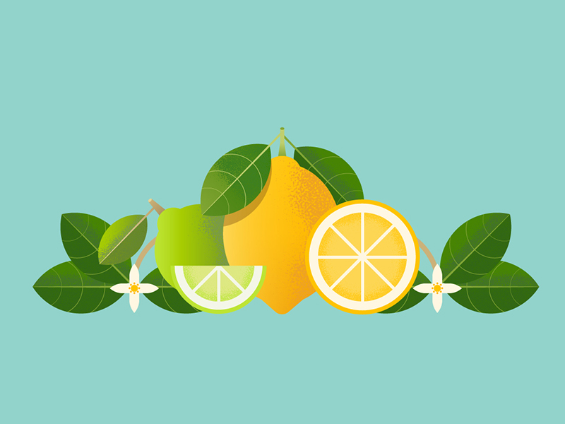 Lemons by Katharina Kozak on Dribbble