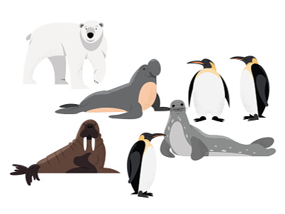 Animals | part 1 animals arctic elephant seal illustration penguin polar bear seal walrus