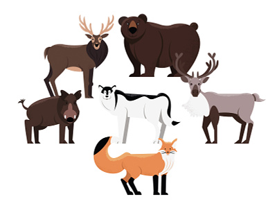 Animals | part 2 animal bear boar deer fox illustration reindeer wolf