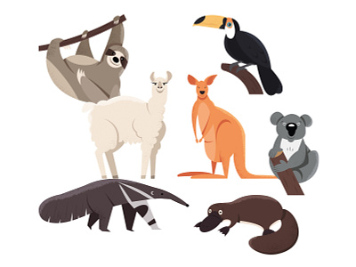 Animals | part 4 animal ant eater kangaroo koala lama platypus sloth toucan