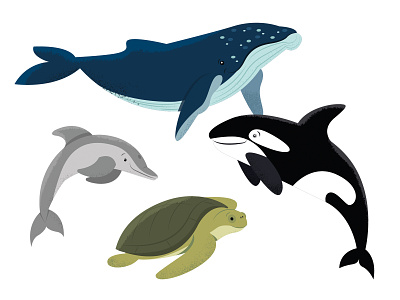 Animals | part 5 animal animals dolphin illustration orca turtle whale