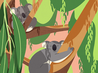 Koala dream animal animals children illustration dream eucalyptus forest illustraion jungle koala leaves nature sleep