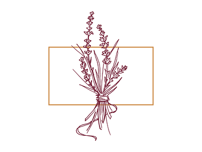 Lavender drawing floral illustration lavender