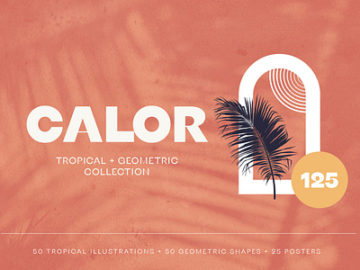 Calor Tropical Collection