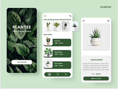 Online Plant Shop part 2 app design design app design art illustration mobile mobile design onlineshop ui ui ux ui design ui ux web uiux web webdesign