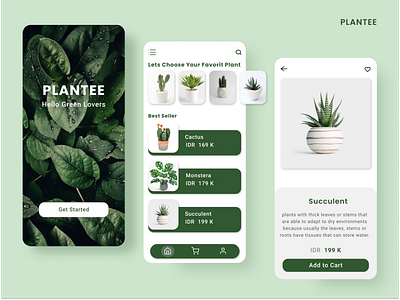 Online Plant Shop part 2