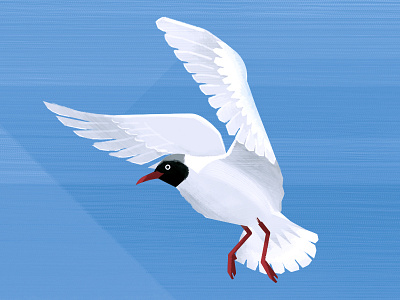 Gull annual report bird deloports gull illustration photoshop seagull sky