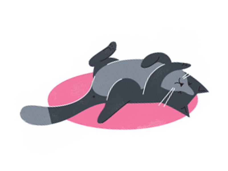 Lazy Cat animals animation cat character illustration kitty lazy lazy cat motion