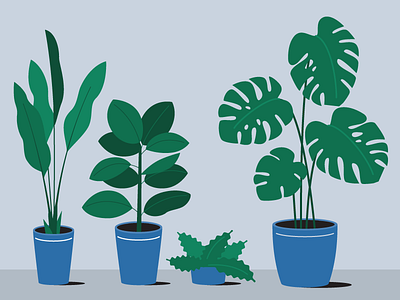 Pot plants flat design green illustration illustrator leaves plants pot plants room plants