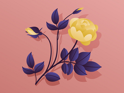 Rose 2d flat flower illustration vector