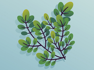 Boxwood 2d flat flower illustration vector