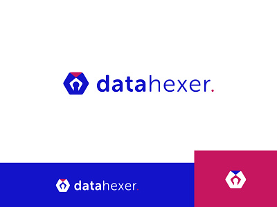 datahexer branding logo
