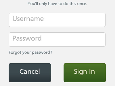 Sign In access app fields form signin ui