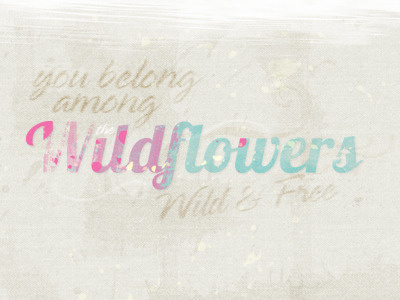 Wildflowers belong dirty flowers free letters lobster lyrics organic petty script type
