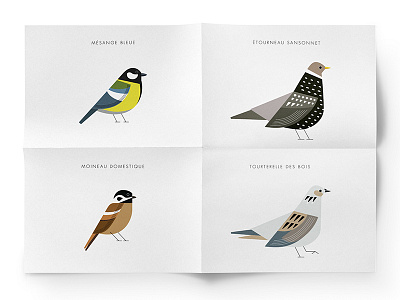 Birds birds colors design graphic illustration nature print vector