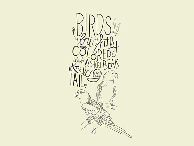 Birds