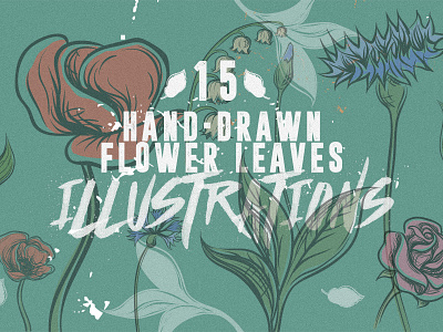 15 Hand Drawn Flower And Leaves Illustrations