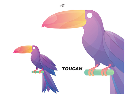 toucan art branding design flat graphic design icon illustration illustrator logo vector