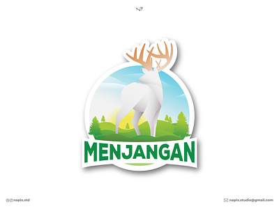 Deer branding design graphic design illustration illustrator logo