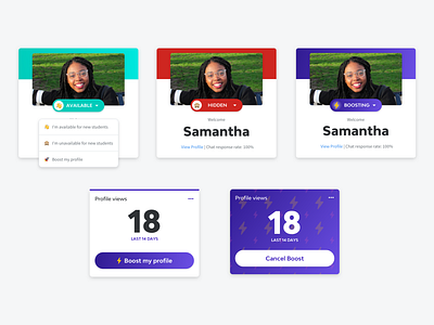 Card Options boost cards dashboard design interaction patterns profile ui ux