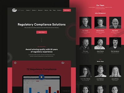 E flow website landing page ui ux website