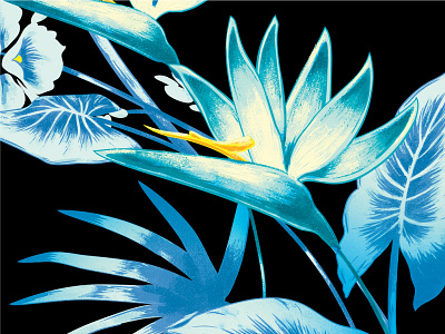 Floral illustration bird of paradise floral flower hawaiian print repeat textile
