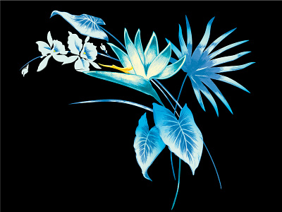 Floral illustration bird of paradise floral flower hawaiian print repeat textile
