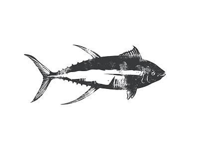 Illustration - Ahi Tuna ahi tuna big game fish fish fishing tuna