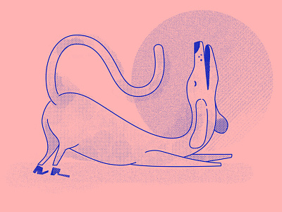 Perrito saludando al sol brushes dog illustration namaste vector yoga