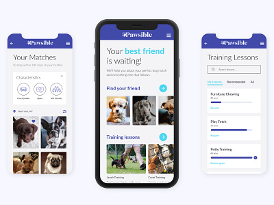 Dog Adoption Concept case study concept design dog adoption mobile web product design ui ux
