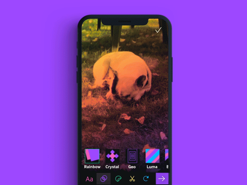 Filters in the GIPHY app