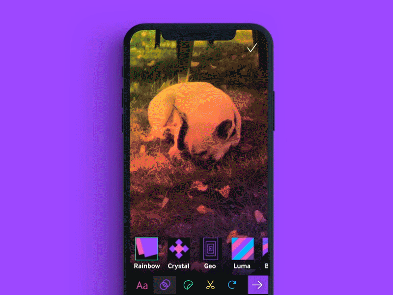 Filters in the GIPHY app camera camerapp effects filters gifs mobile