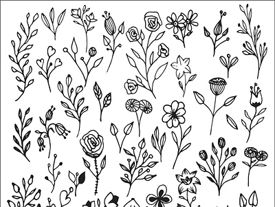 hand drawn flowers floral floral elements hand drawn hand drawn illustration